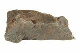Canyon Diablo Iron Meteorite ( g) - Arizona #270685-1